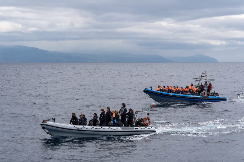 Whale-watching boat off the coast of São Miguel